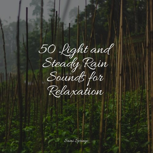 50 Light and Steady Rain Sounds for Relaxation_poster_image