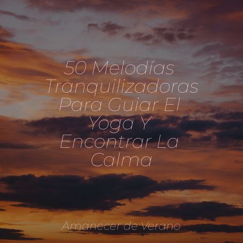 50 Melodías Tranquilizadoras Para Guiar El Yoga Y Encontrar La Calma_poster_image