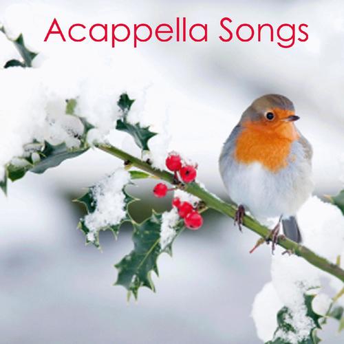 Acapella Groups - Acapella Songs Christmas