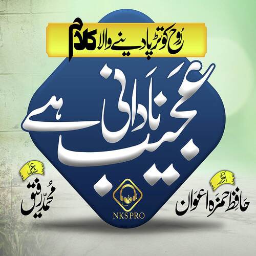 Ajeeb Nadani Hai