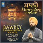 Bawrey Tai Gyan Bichar Na Paya