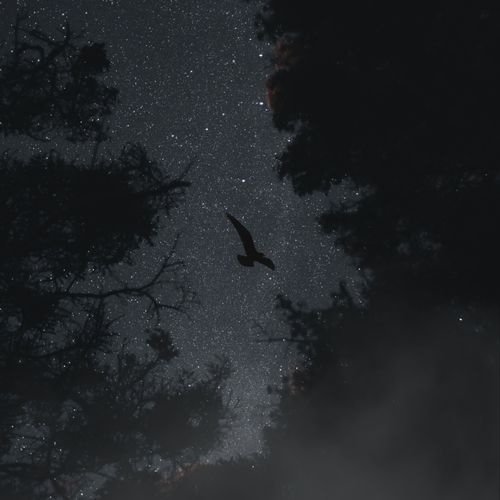 Block 8 cover art