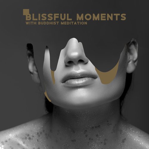 Art of  Buddhist Meditation cover art