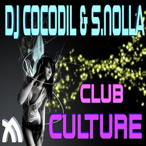 Club Culture_poster_image