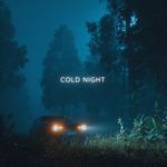 Cold Night