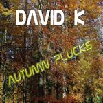 David K - Autumn Plucks