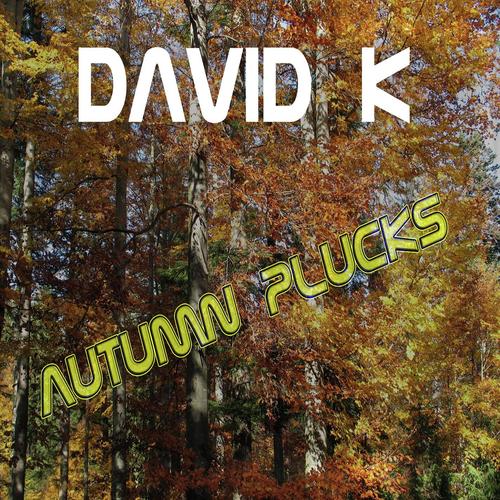 David K - Autumn Plucks