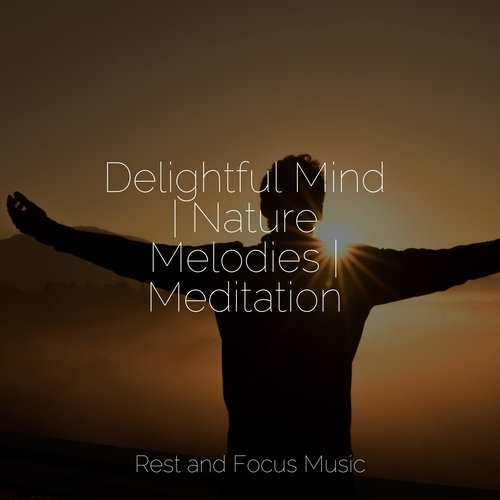 Delightful Mind | Nature Melodies | Meditation