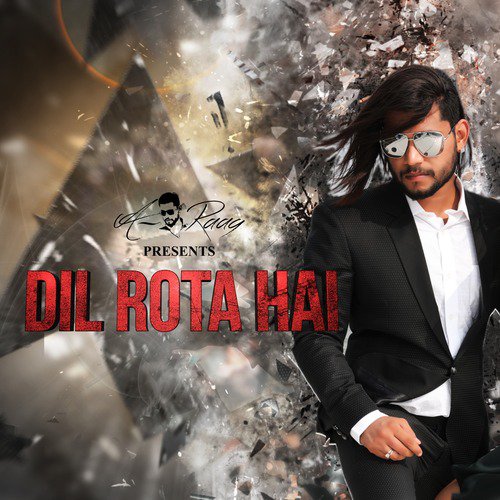 Dil Rota Hai_poster_image