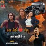 Dil Todi Didhu Sath Chhodi Didho