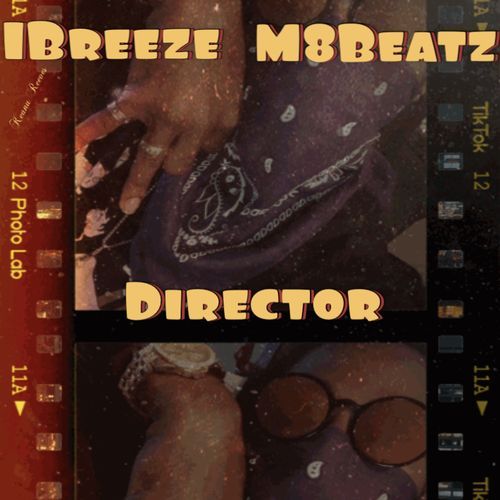 Director cover art