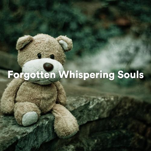 Forgotten Whispering Souls_poster_image