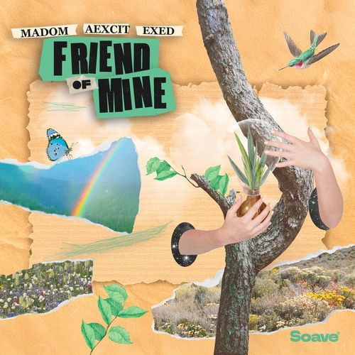 Friend Of Mine