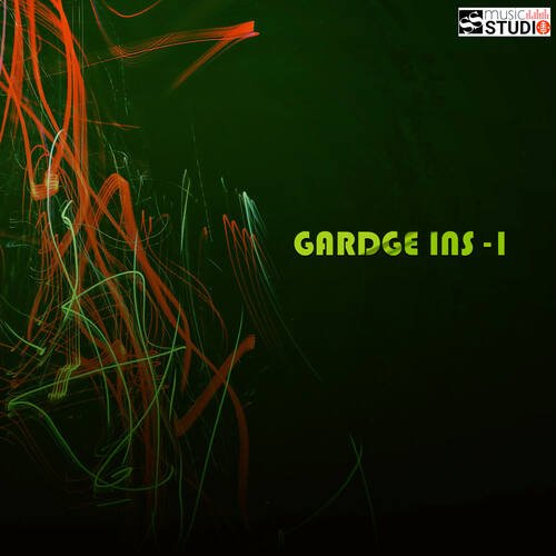 Gardge Ins-1