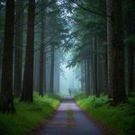 الاعلان کہتا ہوں میں نوکر ہوں صحابہ کا