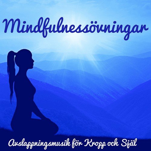 Mindfulnessövningar - Avslappningsmusik för Kropp och Själ, Natur och Instrumentalmusik_poster_image