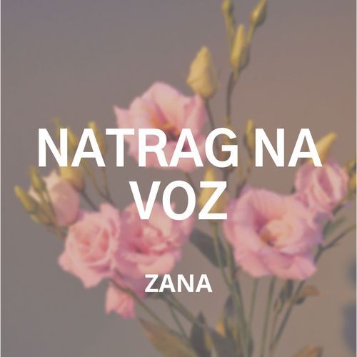 Natrag Na Voz