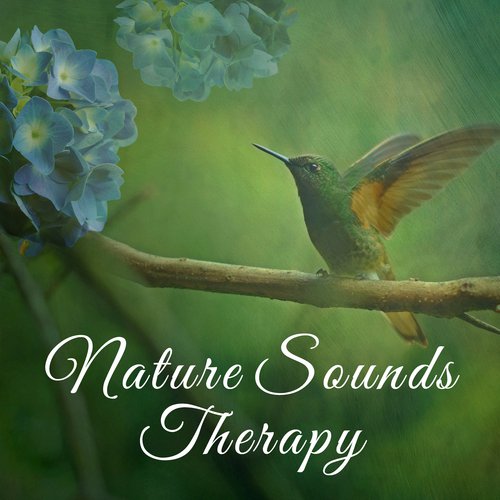 Nature Sounds Therapy – Relaxing Therapy, Nature Music, New Age, Sleep, Rest, Relax