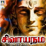 Om Namah Shivaya