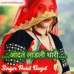 आदत लाडली थारी