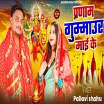 Pranam gummaur mai ke