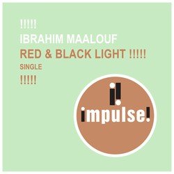 Ibrahim Maalouf profile photo