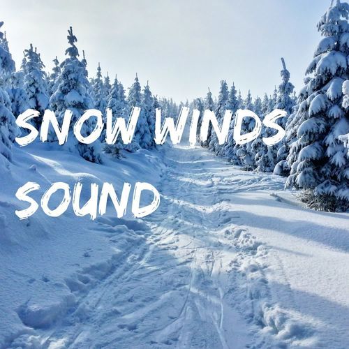 Snow Winds Under a Quiet Sky