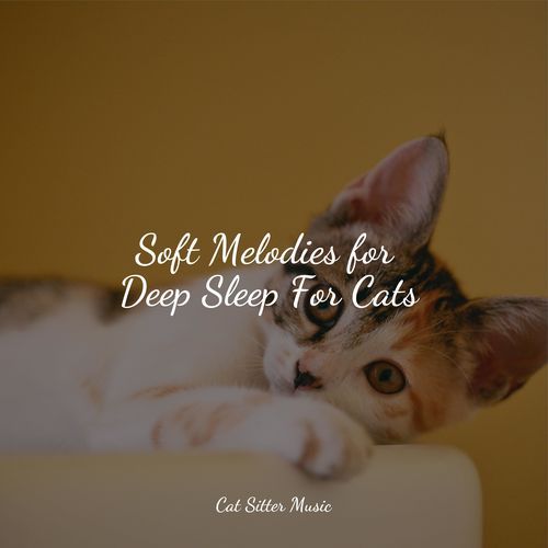 Soft Melodies for Deep Sleep For Cats_poster_image