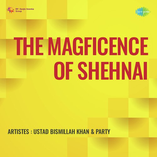 The Magficence Of Shehnai