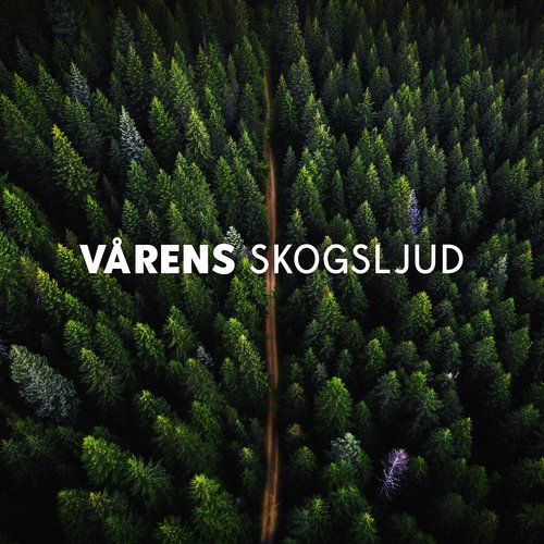 Dags att vakna cover art
