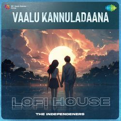 Vaalu Kannuladaana - Lofi House-SDwYXS1oenI