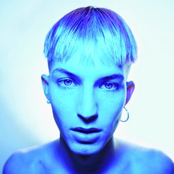 Where Polly People Go to Read