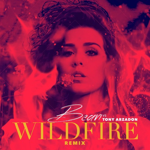 Wildfire (Tony Arzadon Remix) - Single