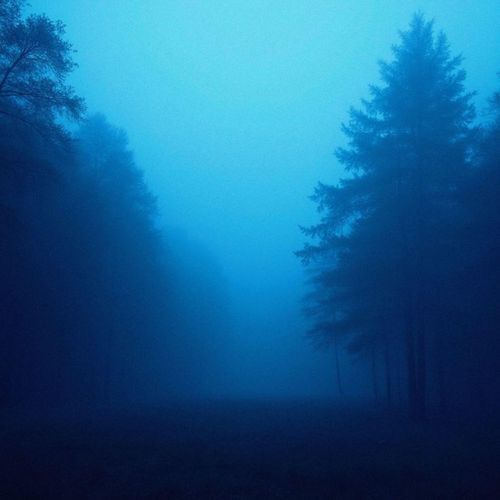 everything feels empty