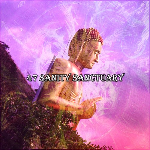 47 Sanity Sanctuary