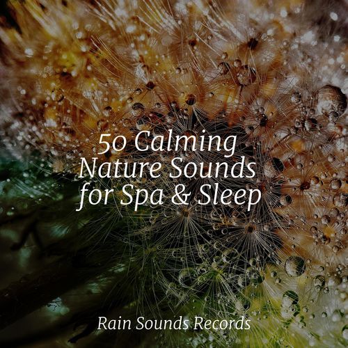 50 Calming Nature Sounds for Spa & Sleep