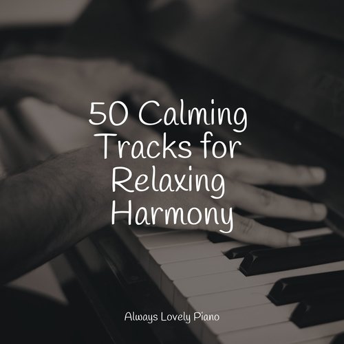 50 Calming Tracks for Relaxing Harmony