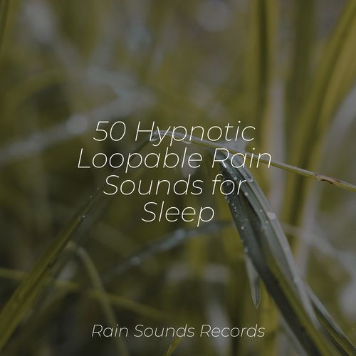 50 Hypnotic Loopable Rain Sounds for Sleep