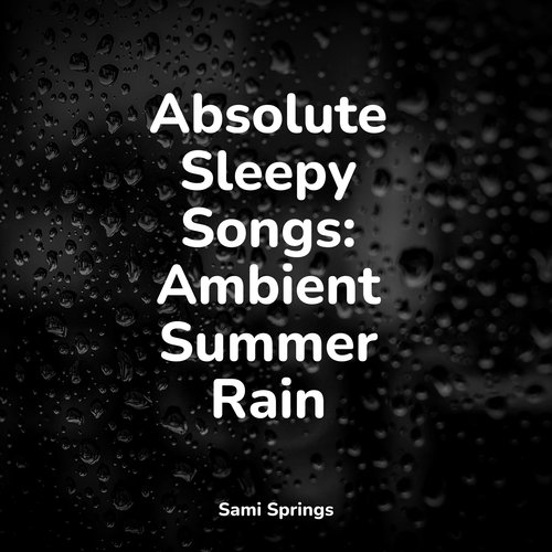 Absolute Sleepy Songs: Ambient Summer Rain