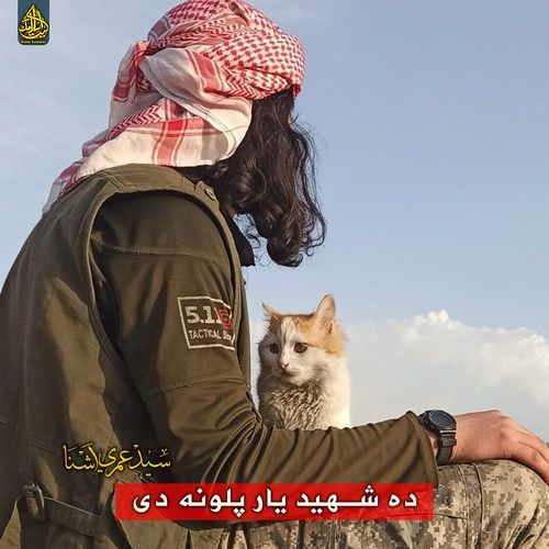 ده شهید یار پلونه دی