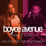 Can You Feel the Love Tonight