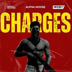 Charges Freestyle