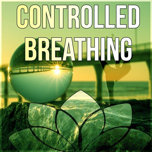 Controlled Breathing - Relaxation with Flute Music and Nature Sounds, Hindu Yoga, Mindfulness Meditation