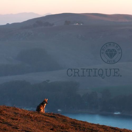 Critique cover art