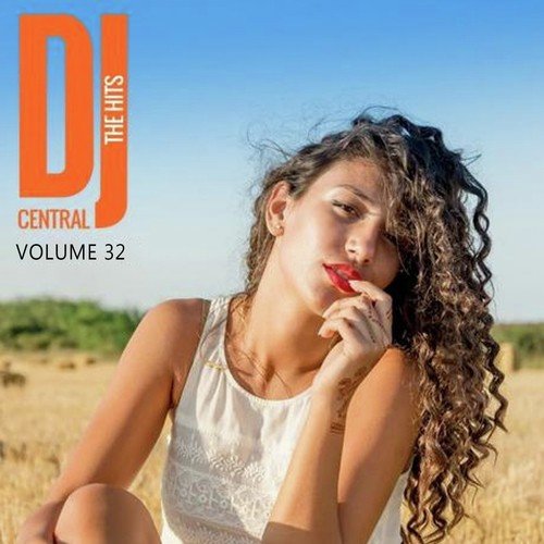 DJ Central - The Hits, Vol. 28