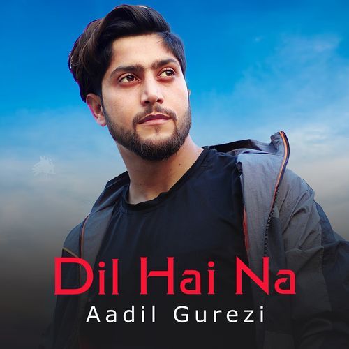 Dil Hai Na