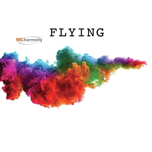 Pilote cover art