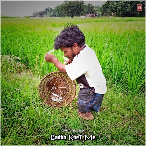 Gadha Khet Me