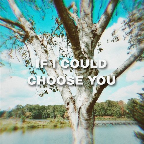 If I Could Choose You_poster_image