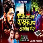 Ka Gel Mala Maze Pakharu Aas Aardhyat Sodun